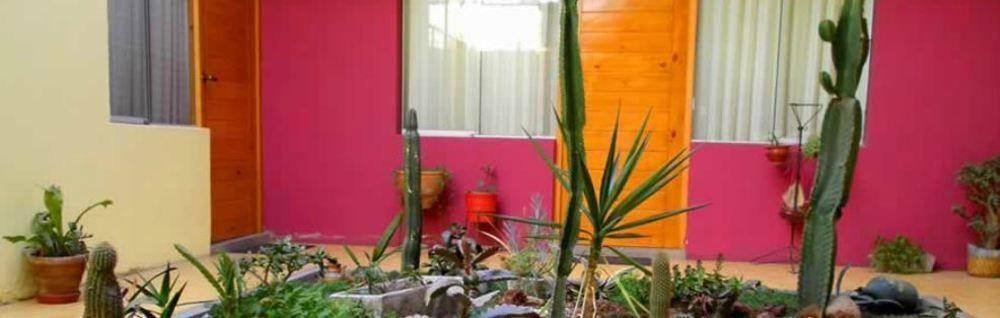 Hotel Mirasol Arequipa Ngoại thất bức ảnh